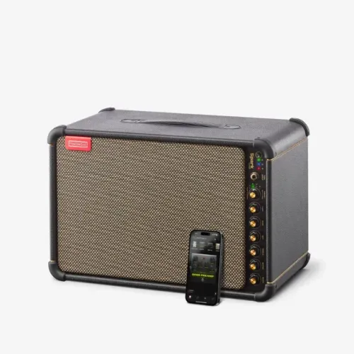 Amplificador Positive Grid SPARK LIVE (Lacrado)