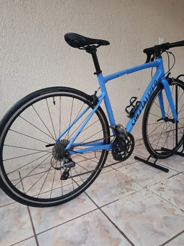 SPECIALIZED ALLEZ
