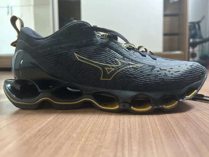 Mizuno prophecy 13