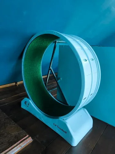 Roda de gato