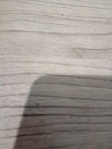 Preciso de casa ou kitnet pra alugar em ubiratá ate 1000 reais *
