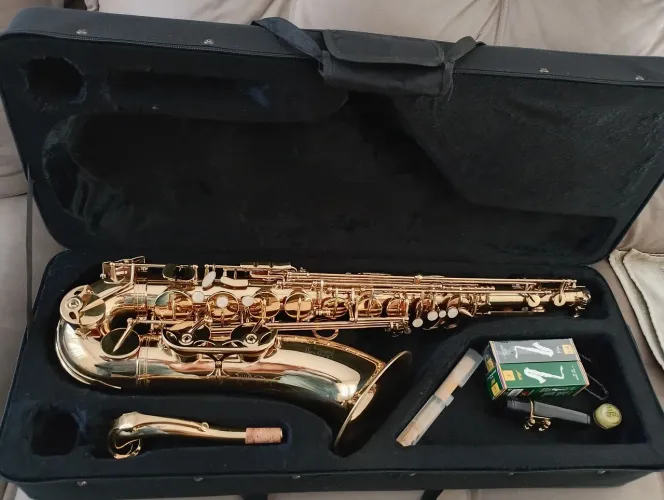 Sax Tenor Dolphin Excelente