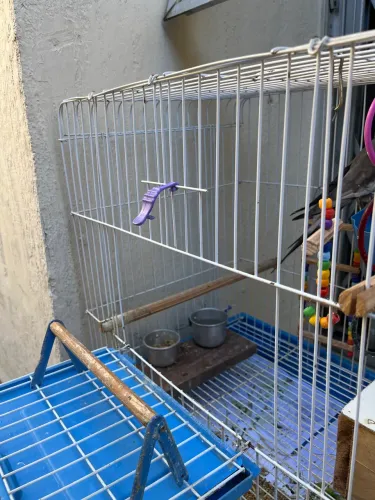 Vendo gaiola para calopsita 