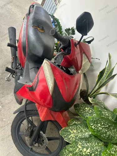 Shineray Jet 50cc 2021
