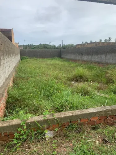 Terreno Murado em Peroba - Maragogi | 318m² | A 850m da Praia