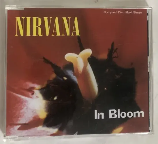 CD SINGLE NIRVANA - IN BLOOM