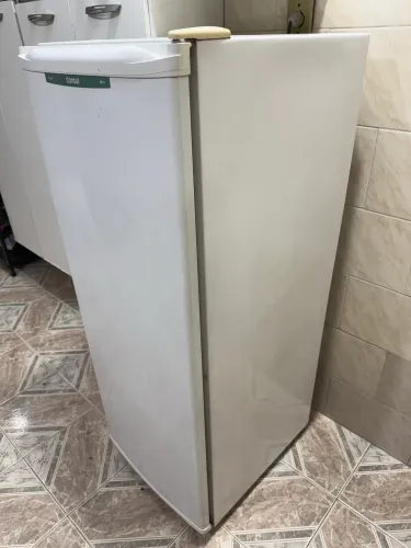 Freezer vertical
