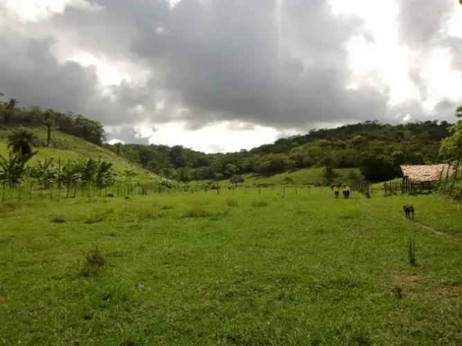 O Sítio mais rico em água de Tamandaré 57,2017ha 4 nascentes 2 bicas 6 águas
