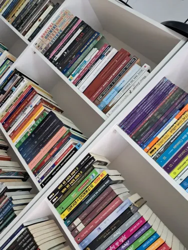 Lote de livros , literatura diversos.