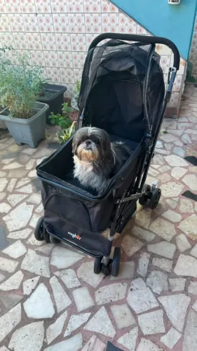 Carrinho de Passeio Pet Mighor - Dobrável e Conservado (Com Manual)