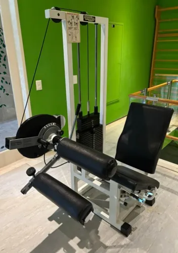 Cadeira Flexora Technogym - Usada