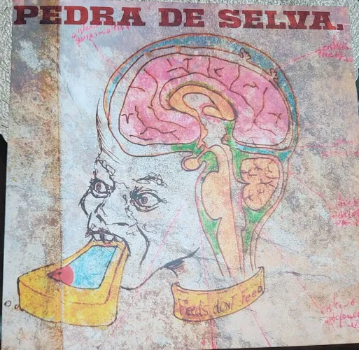 Vinil Curumim "Pedra de selva"