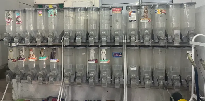 Módulo Expositor de Ração a Granel com 10 Dispensers - Conservado!
