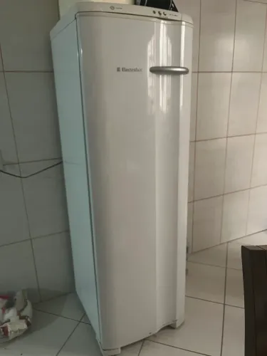 Freezer Electrolux