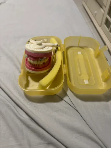 Manequim odontológico pronew