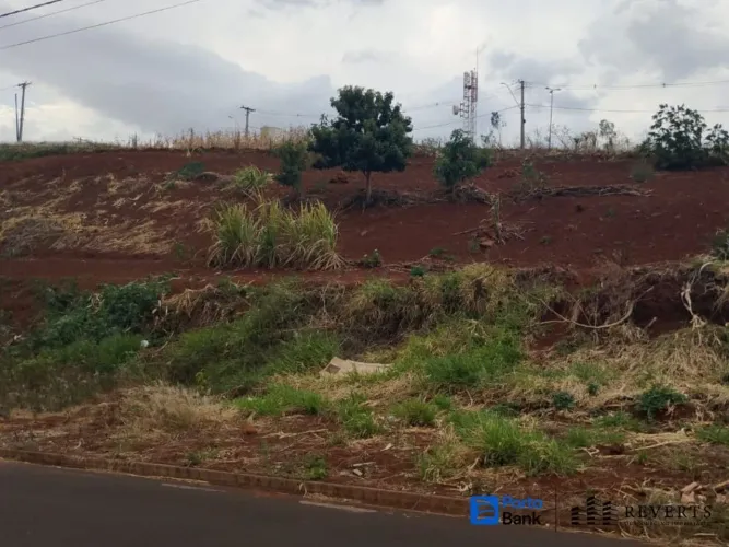 Terreno à Venda no Jardim Nova Altinópolis  Altinópolis/SP