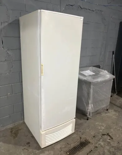 Freezer vertical Fricon