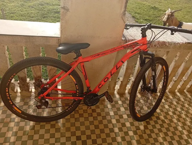Bike colli 
