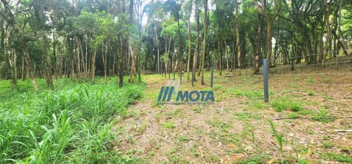 Ara para chácara Campo Largo com 22.916,00m2 com linda vista panorâmica para serra do São