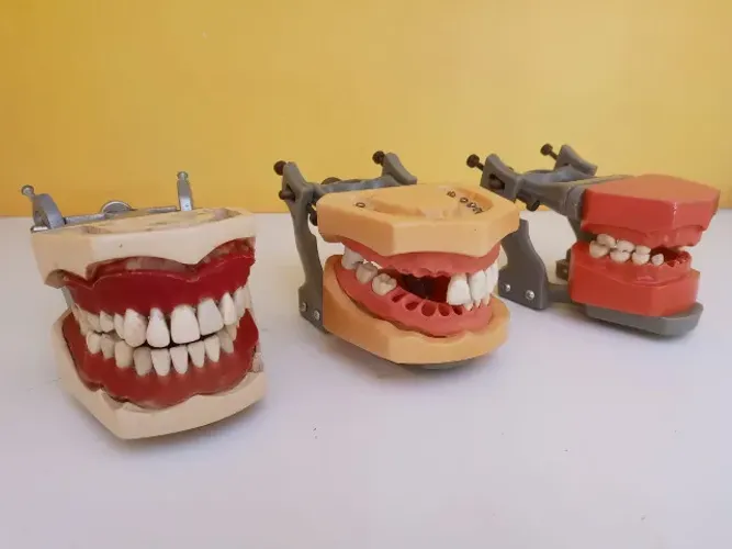 3 Manequim Odontológico (Para Dentista)