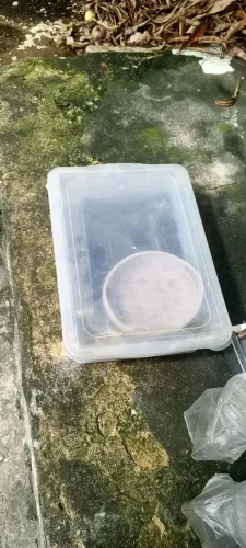 Materiais de comedoria 