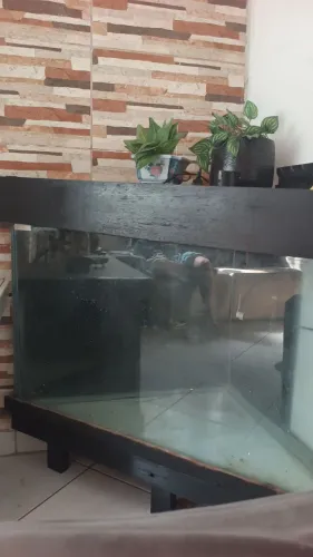 Aquário triangular