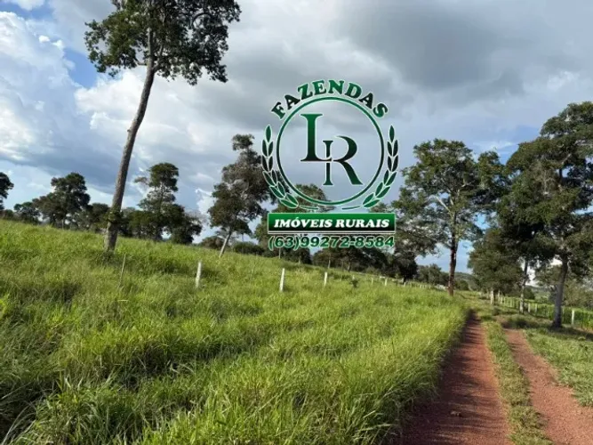 Fazenda 288 Alqueires Dupla Aptidão