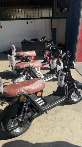 Bicicleta elétrica