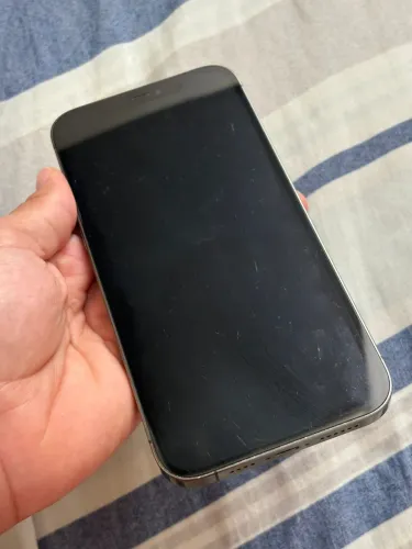 IPHONE 12 PRO MAX