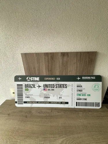 placa decorativa bilhete passagem de avião Brasil - Estados Unidos Linda Exclusiva