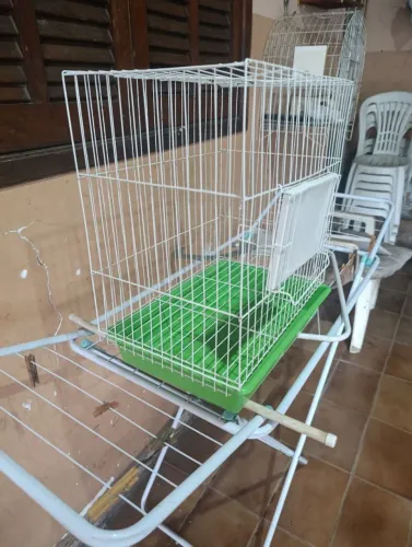 Vendo gaiola