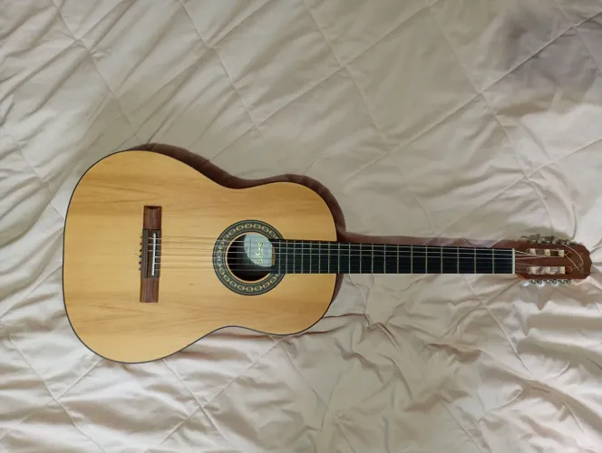Violão Rozini Estudante RX201 AC.F.I