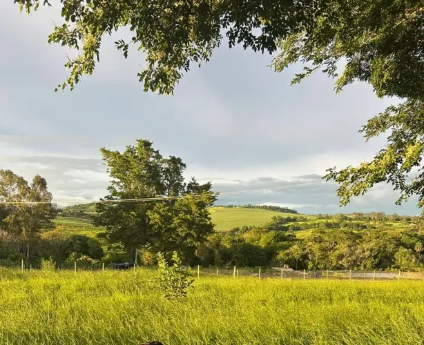 Terreno de Chácara - 2.500 m² - saida de Patrocinio Paulista