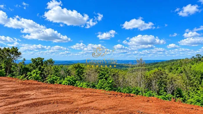 Campo Largo | Fazenda 774,40 Hectares |Própria Pra Reflorestamento | 320 Alqueires | Permu