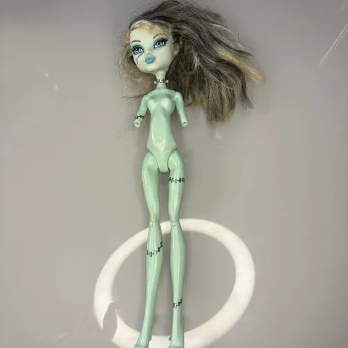 Sucata Boneca Frankie Stein Passeio no Shopping Monster High