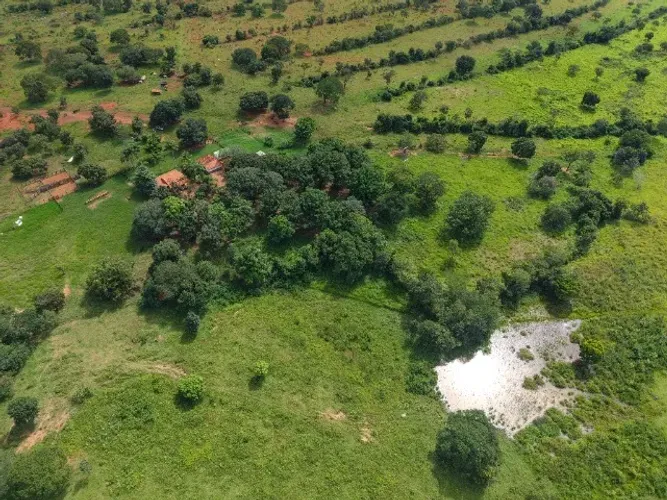Fazenda para Pecuária em Unaí -Mg