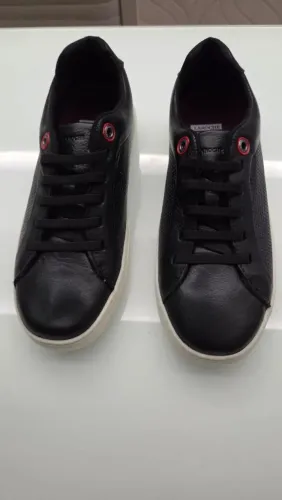 Tenis