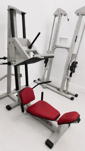 LEG PRESS 80° PROFISSIONAL - LION FITNESS