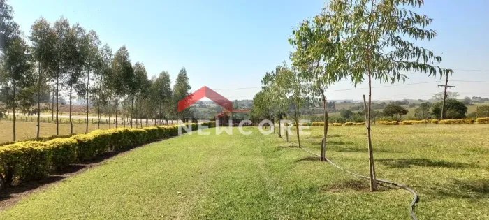 Sítio em Guareí - Centro - Guareí/SP