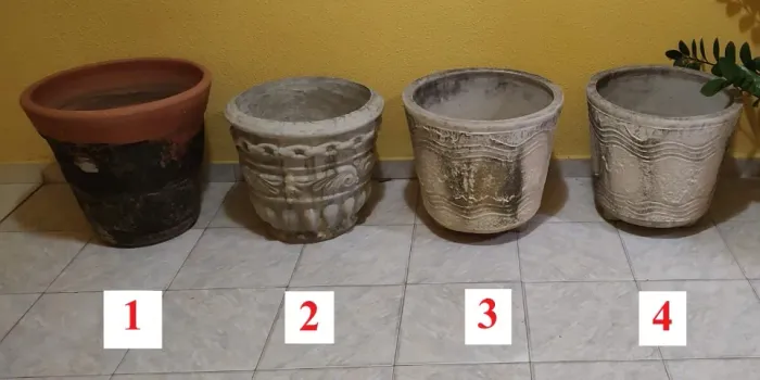 Vasos de planta