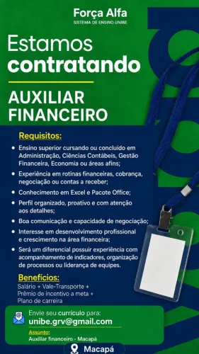 auxiliar financeiro