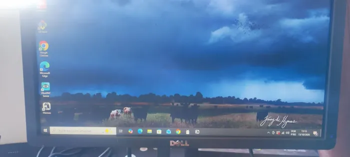 Monitor Dell