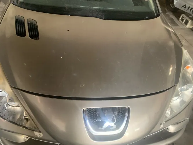 Peças para Peugeot 207 - Capô e Faróis