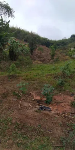 Terreno em área verde com vista privilegiada