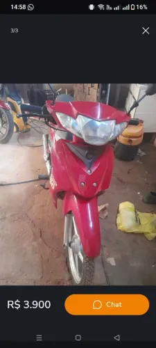 Motinha Zig 50