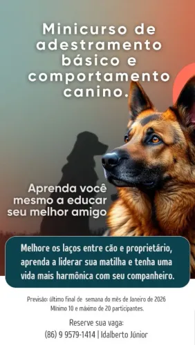 MINICURSO DE ADESTRAMENTO BÁSICO E COMPORTAMENTO CANINO-Aprenda vc mesmo a educar seu cão 