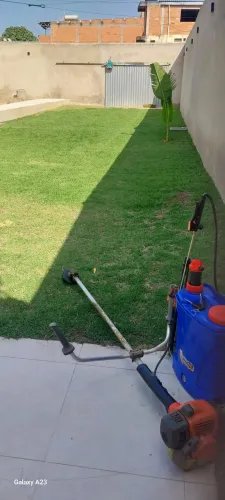 Jardinagem e paisagismo