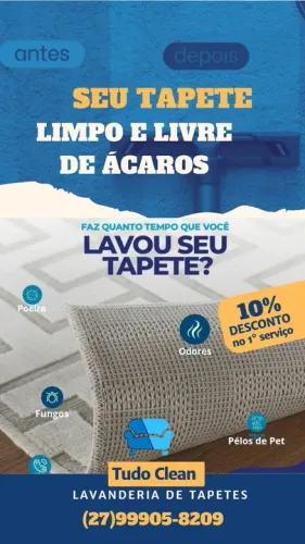 Lavanderia de Tapetes - Limpeza Profissional