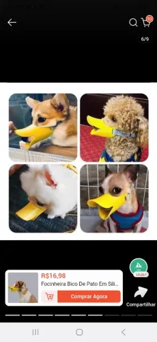 Focinheira de bico de Pato tamanho P