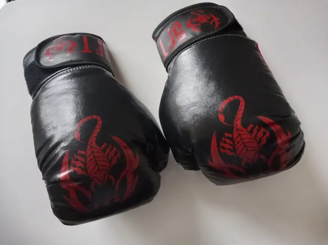2 pares de Luvas de Boxe Profissionais - Design Exclusivo